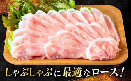 yszMR [Xԗp v500g(250g×2p) s / q ؓ Ⓚ[AGB044] ؓ  uh MR |[N [X XCX 250g 