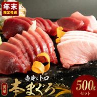 【年末発送】本マグロ (養殖) 赤身 ＆ トロ セット 500g_AZ6019_nm