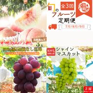 〈定期便〉【7・8・9月 全3回】紀州和歌山産旬のフルーツセット（桃・種なし巨峰・シャインマスカット）※離島への配送不可