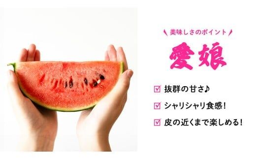 【 訳あり 】 こだますいか 「 愛娘 」 2玉 2026年産 先行予約 筑西ブランド こだまスイカ 小玉スイカ すいか スイカ フルーツ 果物 [AF084ci]