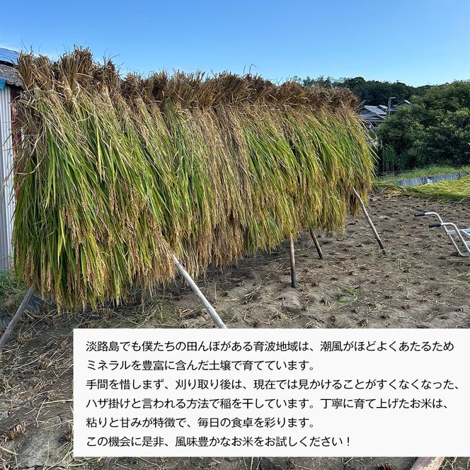 自然栽培もち米　はりまもち（白米）　3kg