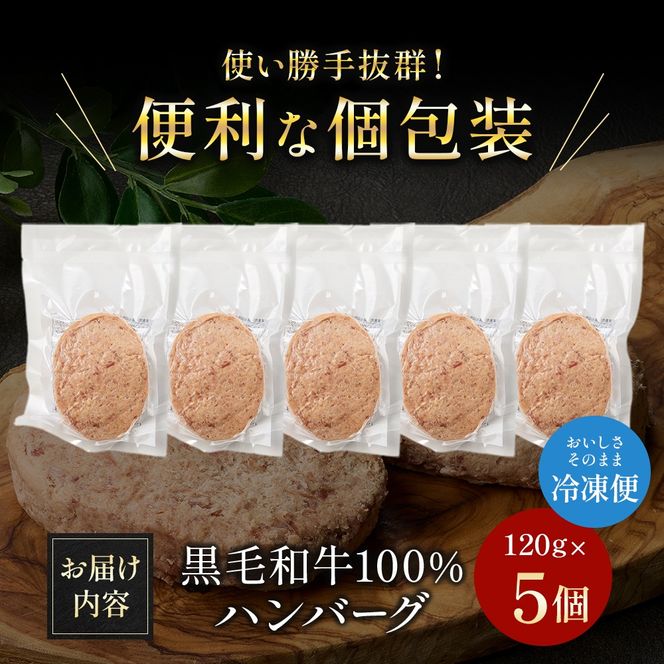 【食べログ百名店】倉薗牧場の国産黒毛和牛100％の贅沢ハンバーグ120g×5個 (牛肉 牛 ハンバーグ ビーフクックくらぞの)