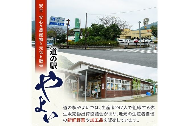 ＜令和7年産＞＜新米＞道の駅やよいのお米 ひのひかり (5kg) 米 白米 精米 国産 ご飯 新米 ブランド米 大分県産 大分県 佐伯市【EN10】【道の駅やよい】