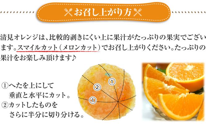 清見オレンジ約8kg / 果実サイズおまかせ ※2027年2月中旬～2027年4月下旬頃発送予定 / 紀伊国屋文左衛門本舗【sgtb401C】