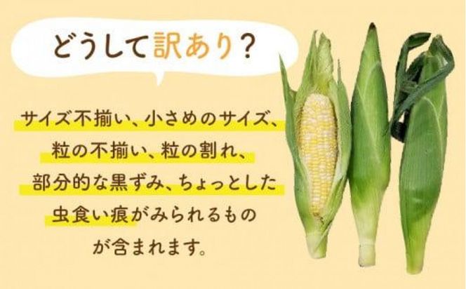 訳あり ご家庭用ドルチェドリーム 約4.5kg【2027-6月上旬～2027-7月上旬配送】 372013_T006-280J