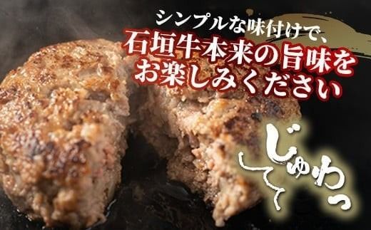 石垣牛 ハンバーグ セット (100g×10個)＜2026年8月発送＞【国産 石垣牛100% 沖縄 石垣島産 高級 黒毛和牛 ビーフ ハンバーグセット 】A-006_08