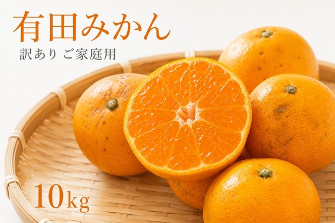 和歌山 有田 みかん 10kg 訳あり ご家庭用 2S〜2Lサイズ混合 / 有田みかん 甘い 柑橘  和歌山 ※2026年11月下旬頃〜12月下旬頃に順次発送予定 【uot004-c-10】