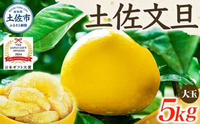 【日本ギフト大賞2024受賞】先行予約 園主こだわり土佐文旦 【大玉5kg】（3L～2L） 2027年1月下旬より順次発送 家庭用 ぶんたん ブンタン 柑橘【やの一果彩】 [BQAC002]