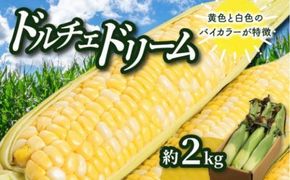 ドルチェドリーム 約2kg(高松市)【2027-6月上旬～2027-7月上旬配送】 372013_T006-205J