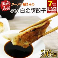 【スピード発送】 手作り餃子 冷凍 30個 6個×5pc 白金豚 ブランド豚 簡単調理 ご飯のお供 惣菜 お弁当 冷凍食品 10000円 1万円 黒船 大船渡市 [kurofune06]