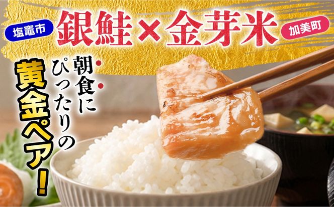 宮城主役ごはんセットA【銀鮭（600g×2）×金芽米（5kg）】 | kami-w-sk-a