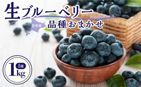 【2026年7月下旬頃より発送】青果ブルーベリーおまかせ1種1kg（500g×2パック）＜アイケイファーム余市＞_Y111-0009