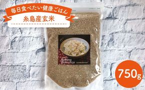 糸島産 玄米 750g 《糸島》 【Carna】 [ALA022]