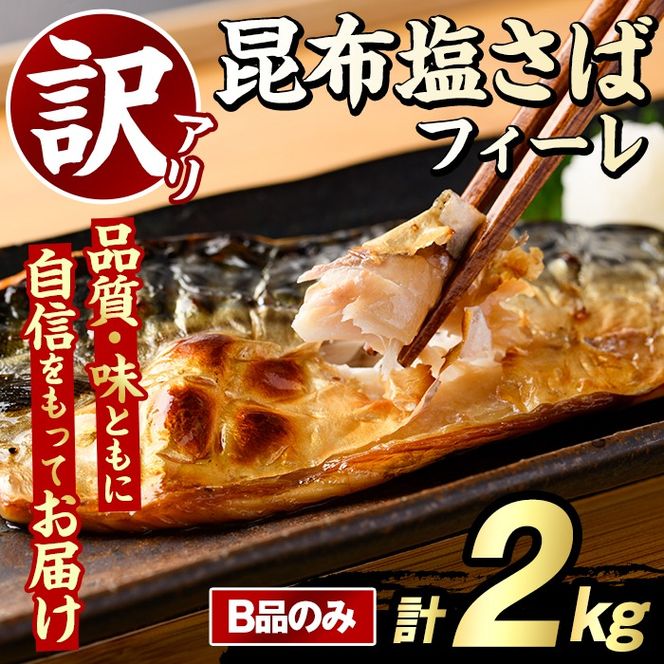 yvsz󂠂Iz΃tB[(Bî݁Ev2kg) To I  ܂ y Ă ؂g z ƒp s[g yO[ot[Yzakn061-28