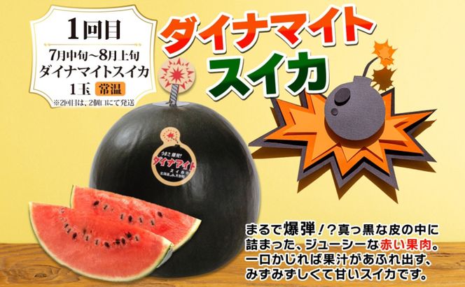 月形町 人気の厳選 定期便 3回お届け メロン 赤肉 スイカ かぼちゃ 南瓜 果物 フルーツ 野菜 旬 季節 送料無料