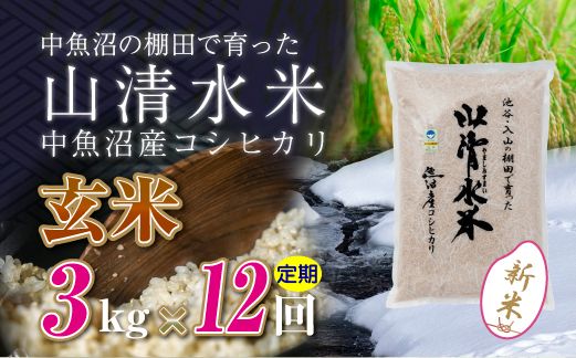 【令和8年産 新米】 【定期便／全12回】玄米3kg　新潟県魚沼産コシヒカリ「山清水米」十日町市 米