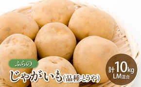 【2026年秋発送】ふらの じゃがいも（品種：とうや） 10kg LM混合 北海道 富良野市 野菜 新鮮 直送 ポテト とうや 道産 ふらの 送料無料 数量限定 先着順
