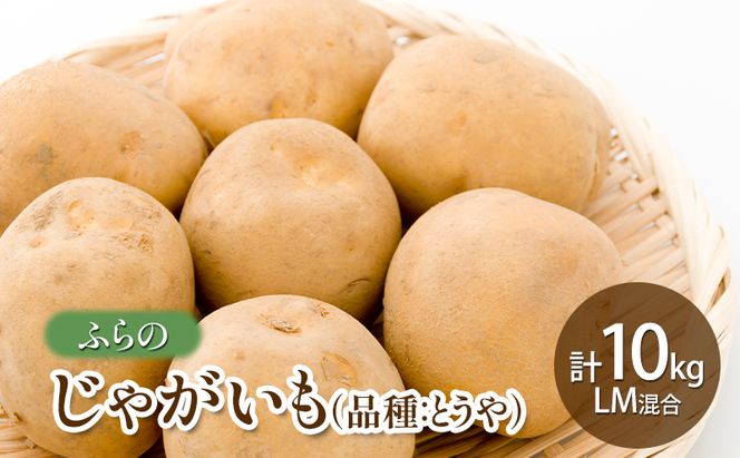 【2026年秋発送】ふらの じゃがいも（品種：とうや） 10kg LM混合 北海道 富良野市 野菜 新鮮 直送 ポテト とうや 道産 ふらの 送料無料 数量限定 先着順