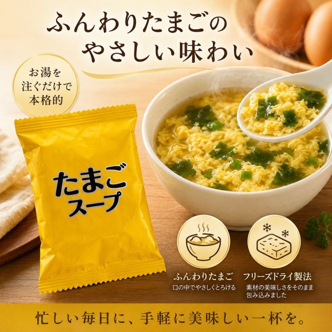 スープ 2種のスープ (オニオン・たまご) 各40食 計80食 フリーズドライ