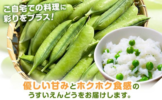 うすいえんどう 約2kg 湯川農園《2027年1月末-5月上旬頃出荷》和歌山県 日高川町 旬 新鮮 豆うすい グリーンピース 和歌山特産 豆ごはん 送料無料 ほくほく 甘い---wshg_ykw1_1m5j_25_15000_2kg---