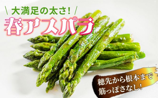 【2027年3月～発送】【星のアスパラ】グリーンアスパラガス 約700g / アスパラ アスパラガス 野菜 / 南島原市 / ほしのYA[SEY022]