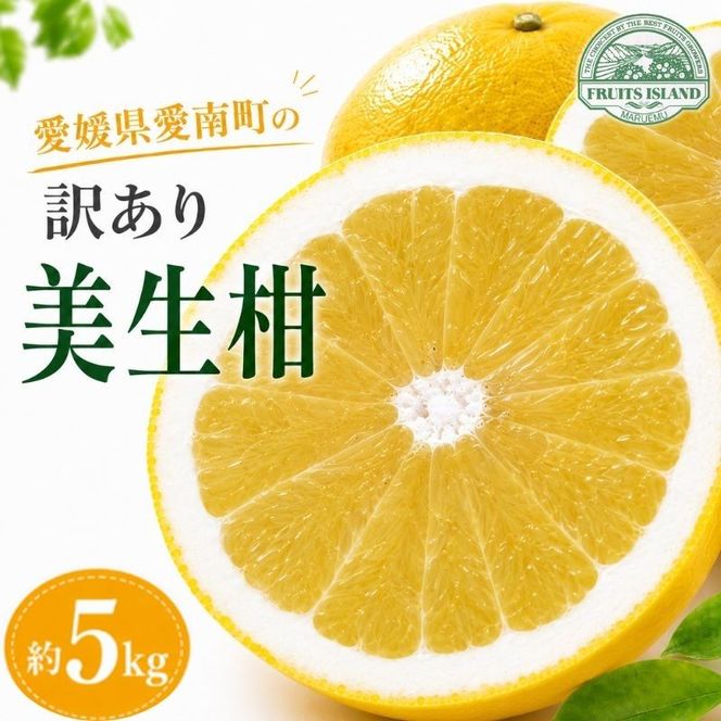 【先行予約】 訳あり 美生柑 みしょうかん 約 5kg 河内晩柑 不揃い サイズミックス 傷あり ばんかん フルーツ 果物 くだもの 文旦 晩生柑 厳選 愛媛 みかん 蜜柑 mikan 愛南 ご当地 ブランド 国産 産地 直送 ゼリー マーマレード デザート フルーツアイランド マルエム直販 愛媛県 愛南町