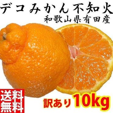 不知火(しらぬい) オレンジ みかん 家庭用 10kg   CE012