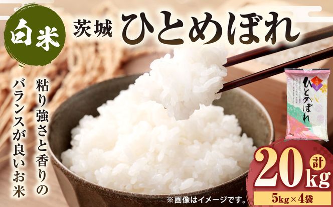 令和7年産 茨城ひとめぼれ 20kg（5kg×4袋） | ひとめぼれ 白米 精米 ごはん お米 国産 茨城県産 守谷市 送料無料