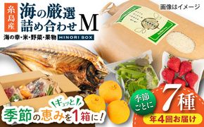 【全4回定期便】糸島産 魚 米 野菜 果物 厳選詰め合わせ MINORI BOX Mサイズ【季節ごとに年4回お届け】 糸島市 / emma.Inc / 米 魚 野菜 果物 詰め合わせ[AOP005] 米 こめ 魚 さかな 野菜 やさい 果物 くだもの 糸島 詰め合わせ MINOR