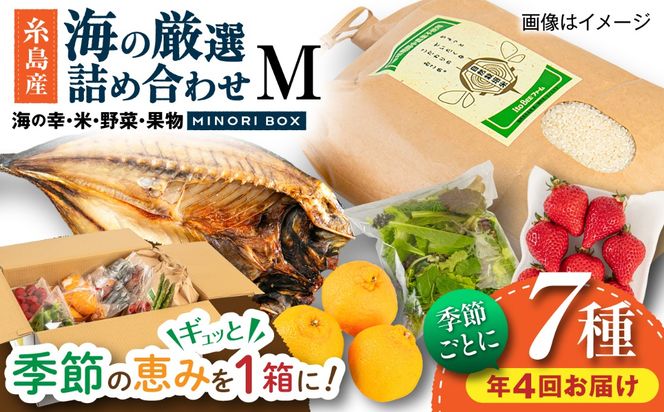 【全4回定期便】糸島産 魚 米 野菜 果物 厳選詰め合わせ MINORI BOX Mサイズ【季節ごとに年4回お届け】 糸島市 / emma.Inc / 米 魚 野菜 果物 詰め合わせ[AOP005] 米 こめ 魚 さかな 野菜 やさい 果物 くだもの 糸島 詰め合わせ MINOR