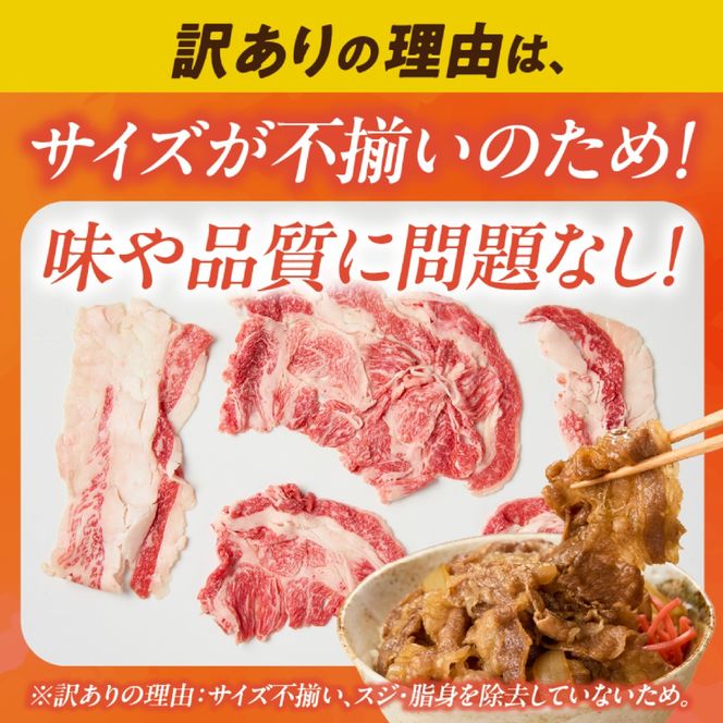 【訳あり】A4等級以上 宮崎牛切り落とし 500g×2P 計1kg（内閣総理大臣賞 A4 A5 宮崎牛 牛肉 黒毛和牛 赤身 切り落とし 小間切れ 宮崎県）