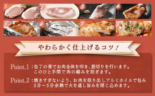 豚ロースとんかつ・ソテー用20枚 - _AA-2506_ ( 都城市 ) 豚肉 豚ロース とんかつ ソテー 100g×5枚×4パック 計20枚 豚 真空パック 冷凍保存