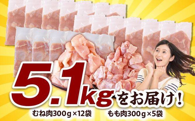 宮崎県産若鶏切身5.1kg 鶏肉