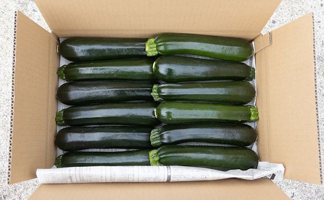瀬戸内 牛窓産 ズッキーニ 約2kg（12本前後） 野菜 岡山県産 
