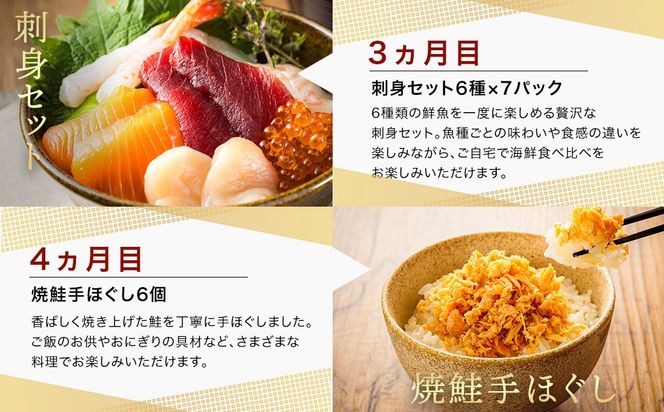 釧路町こだわりの海鮮 定期便（全12回） ｜ いくら イクラ 醤油漬け 小分け ほたて ホタテ 刺身 鮭 さけ サケ 手ほぐし 銀だら 紅鮭 切身 冷凍 定期便 定期 北海道 釧路町 釧路超 特産品