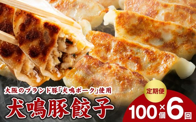 G5385 【泉佐野ブランド豚】犬鳴豚餃子 100個×6回【国産 豚肉 ぶたにく 定期便 犬鳴ポーク 焼くだけ 人気 総菜 冷凍】