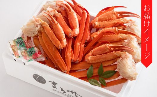 【香住ガニ 茹で切り 6肩 大サイズ カニ酢付 冷蔵】カニの水揚げ次第順次発送予定  カニの本場 香住産 食べ応えのある大サイズ6肩でお届け 最上質な香住ガニを見定め競り落とし 立派なカニを自信を持って提供 ふるさと納税 カニの旨味と甘味が抜群 鮮度抜群 香美町 香住 兵庫県 香住港 かに カニ ベニズワイガニ 産地直送 マルヤ水産 24000円 11-12