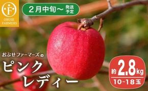 ピンクレディー 約2.8kg 10～18玉［ おぶせファーマーズ ］りんご フルーツ 果物 くだもの 先行予約 長野産 信州産 【2026年2月中旬～発送】