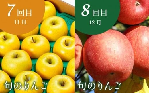 ［年10回定期便］ 信州の人気フルーツ定期便 年10回コース ［小布施屋］ 定期便 頒布会 フルーツ 果物 信州 令和7年産 【2025年6月中旬～2026年2月発送】［E-9］