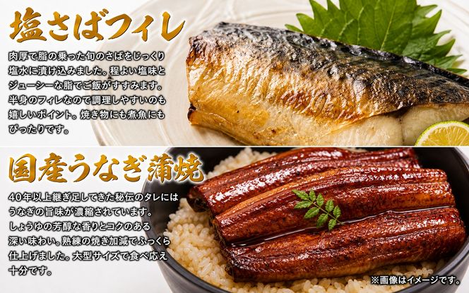 【全4回】家族みんなで楽しめる＼たっぷり容量ならコレ／絶品おかず定期便（さば・鰻・サケ・海鮮丼）【tkb305】