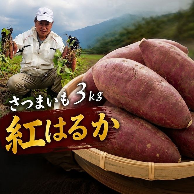 さつまいも 3kg (紅はるか)