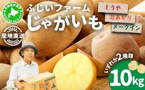 北海道産 じゃがいも 2種 約10kg とうや メークイン 北あかり ジャガイモ 馬鈴薯 ポテト 芋 イモ 先行受付 産地直送 野菜 農作物 甘い ホクホク カレー コロッケ 人気 ふじいファーム
