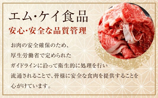 博多和牛リッチな切り落とし 600g（300g×2パック） 博多和牛 和牛 牛肉 肉 牛 すき焼き お取り寄せ グルメ