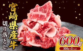 宮崎県産 黒牛 切り落とし 600g（300g×2パック） 赤身 牛肉 切り落とし 肉 お肉 牛 国産牛 小分け 真空パック  冷凍 贈答 ギフト 人気 国産 えびの市