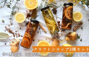 010B1748  【圧倒的企業努力】 クラフト飲料シロップ(コーラ、ジンジャーエール、レモネード）3本セット いずみピクルス NSW 