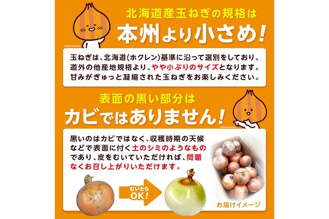【隔月2回(11月・1月)定期便】JAきたみらいから直送する新鮮玉ねぎ 10kg L玉 ( 野菜 定期便 玉葱 たまねぎ 期間限定 )【999-0118-2026】