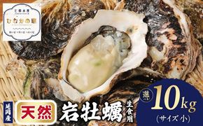 延岡産天然岩牡蠣（生食用）10kg（小）（2026年4月15日から発送開始）N036-YZD025