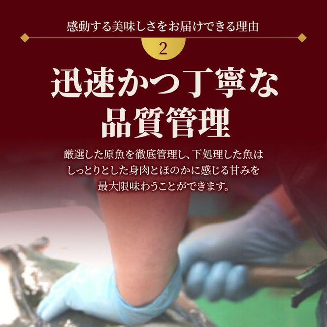 【日向灘どれ】延岡産活〆ブリのお刺身　400g～550g　N019-YA2259　請関水産