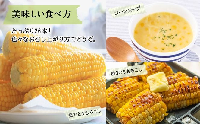 北海道 スイートコーン 味来 約10kg 2Lサイズ 計26本 とうもろこし とうきび コーン 新鮮 採れたて 産直 JAようてい