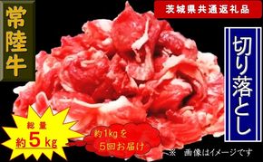 169-26-004 【5か月定期便】【常陸牛】切り落とし 約1kg【定期便】計5回 総量約5kg（茨城県共通返礼品）【 常陸牛 茨城県 日立市 】